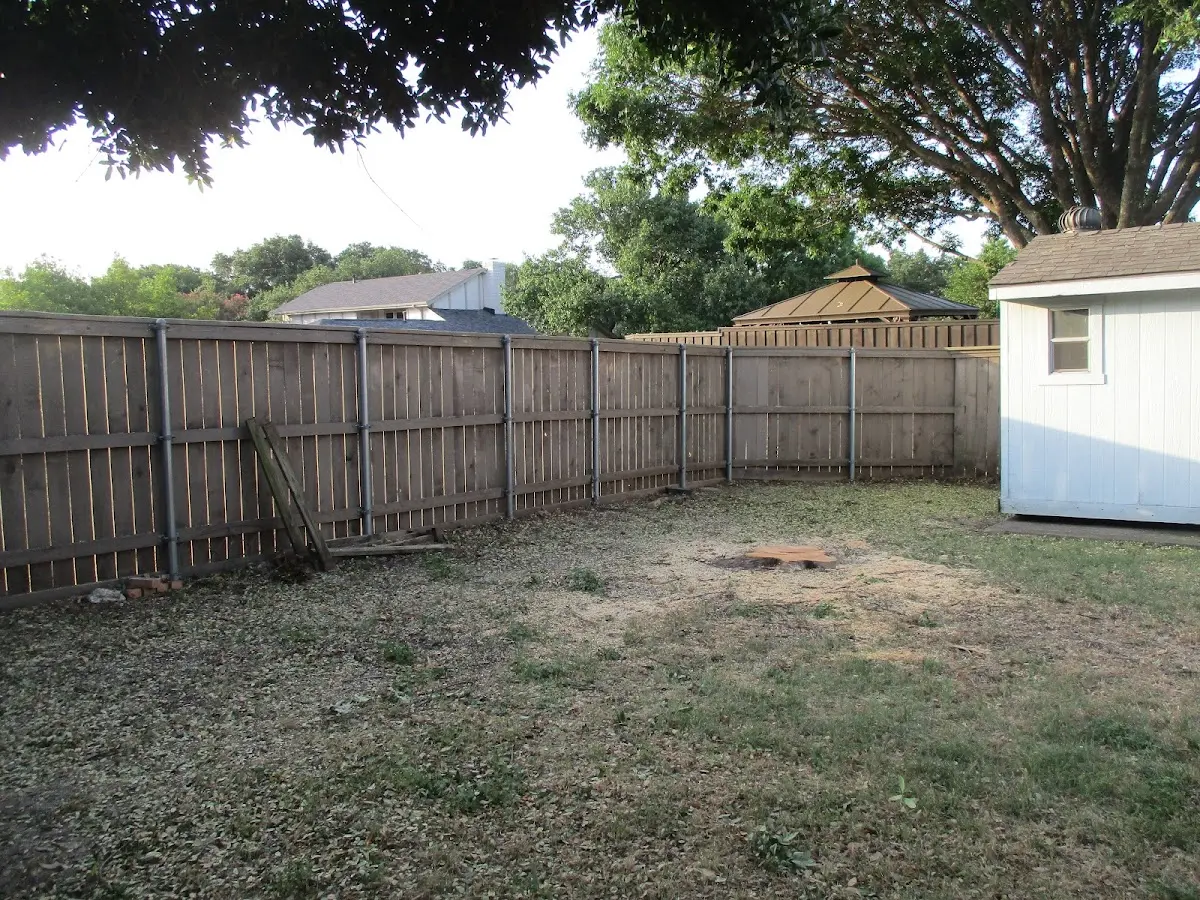 Cleared yard after professional tree removal in Fence
